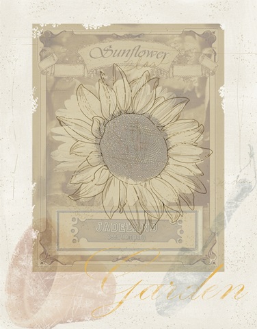 Romantic Sunflowers Collection F