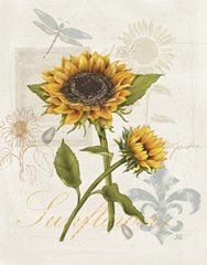 Romantic Sunflowers Collection H
