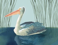 Beach Birds Collection A