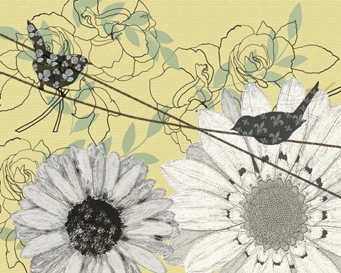 Birds on a Wire Collection A