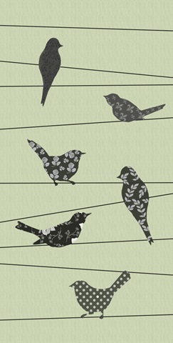 Birds on a Wire Collection B