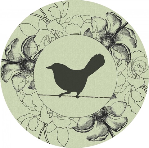 Birds on a Wire Collection C