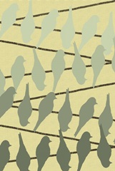 Birds on a Wire Collection D