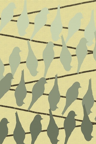 Birds on a Wire Collection D