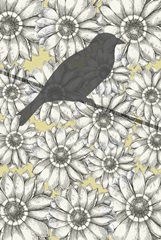 Birds on a Wire Collection F