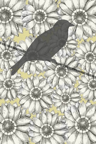 Birds on a Wire Collection F