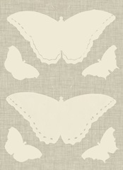 Flowers and Butterflies Collection D