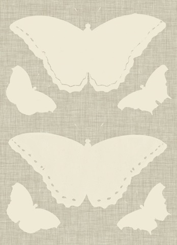 Flowers and Butterflies Collection D