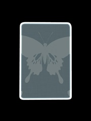 Flowers and Butterflies Collection F