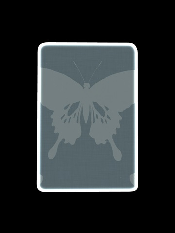 Flowers and Butterflies Collection F