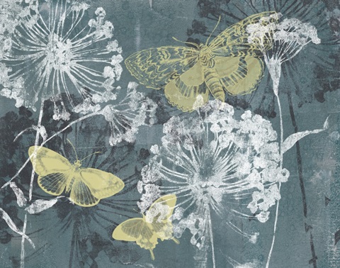 Indigo and Wings Collection A