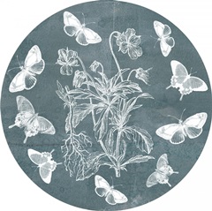 Indigo and Wings Collection C