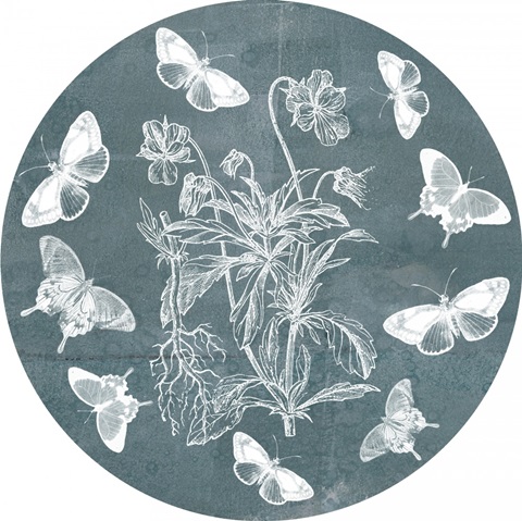 Indigo and Wings Collection C