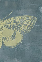 Indigo and Wings Collection D