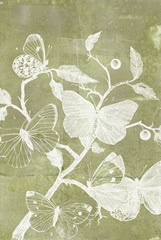 Indigo and Wings Collection E