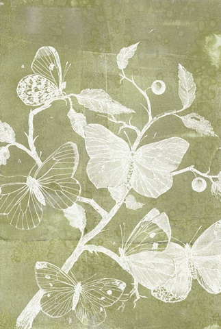 Indigo and Wings Collection E