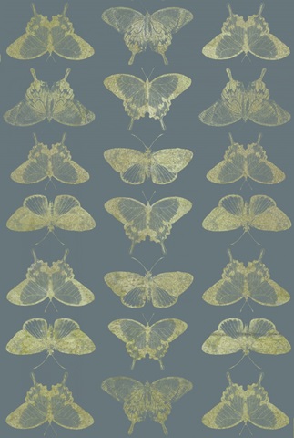 Indigo and Wings Collection F