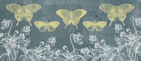 Indigo and Wings Collection H