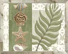 Palm Beach Collection A