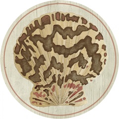 Palm Beach Collection C