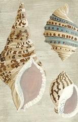 Palm Beach Collection E