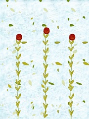 Precious Poppies Collection F