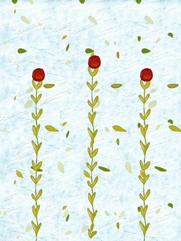 Precious Poppies Collection F