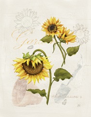 Romantic Sunflowers Collection I