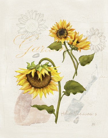 Romantic Sunflowers Collection I