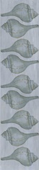 Shells on Slate Collection D