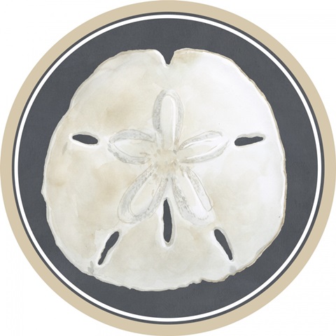 Shells on Slate Collection E