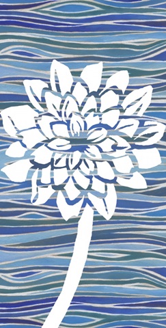 Striped Dahlias Collection B