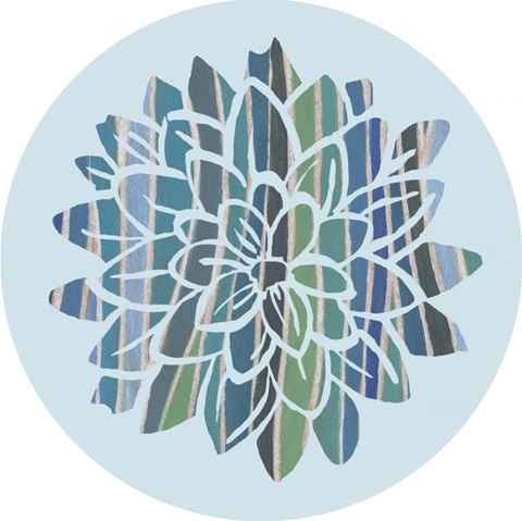 Striped Dahlias Collection C