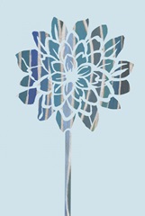 Striped Dahlias Collection E