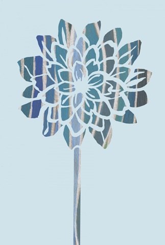 Striped Dahlias Collection E