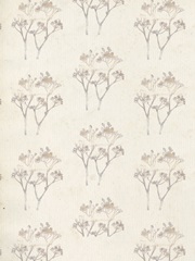 Sunset Lace Collection B