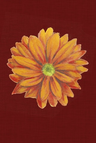 Autumn Floral Collection E