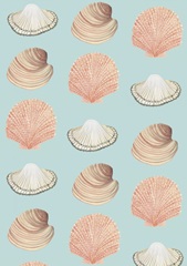 Beach Birds Collection E