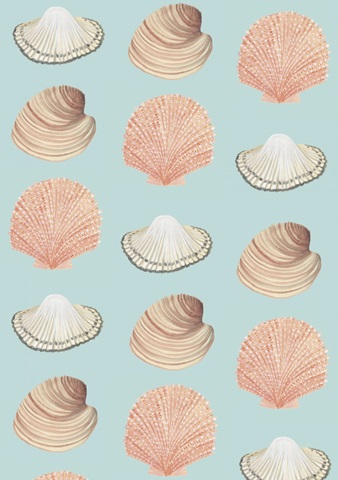 Beach Birds Collection E