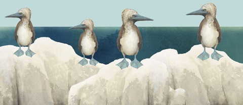 Beach Birds Collection H