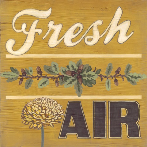 Cabin Life Collection G