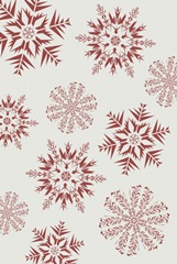 Christmas Poinsettias Collection F