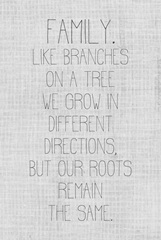 Simply Family Collection F