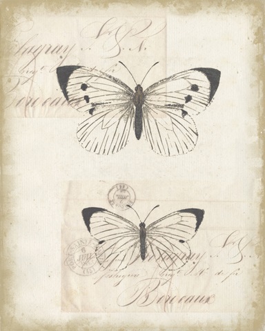 Sunset Lace Collection E