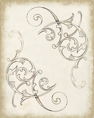 Sunset Lace Collection F