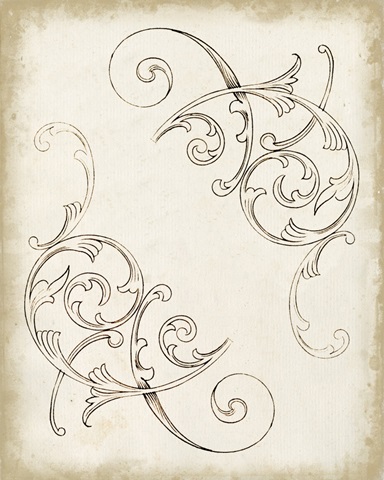 Sunset Lace Collection F