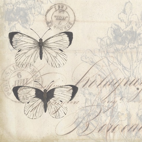 Sunset Lace Collection G