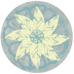 Tropical Interplay Collection E