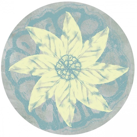 Tropical Interplay Collection E