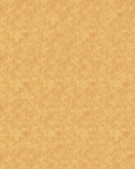 Tulip Power Collection D